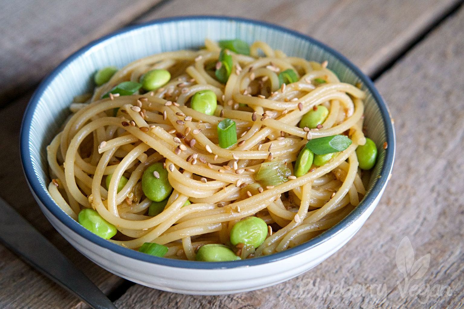 Tangy Sesame Noodles with Edamame Blueberry Vegan