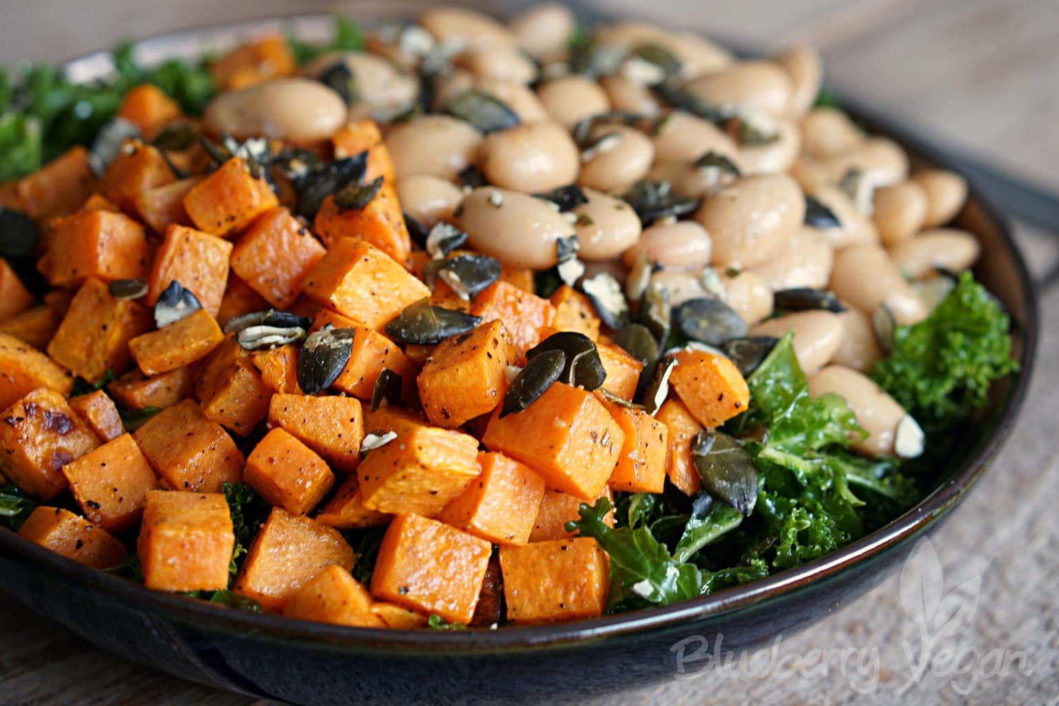 Kale Salad With Roasted Sweet Potato And Giant White Beans Blueberry Vegan 